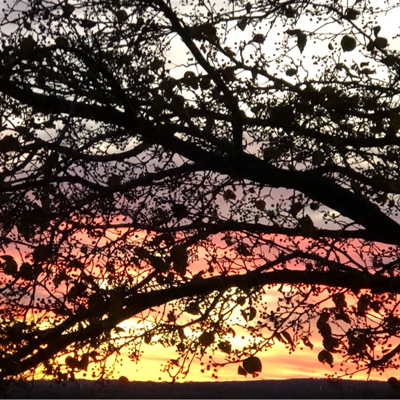 Meet your Posher, Julie - Picture 8 of 10